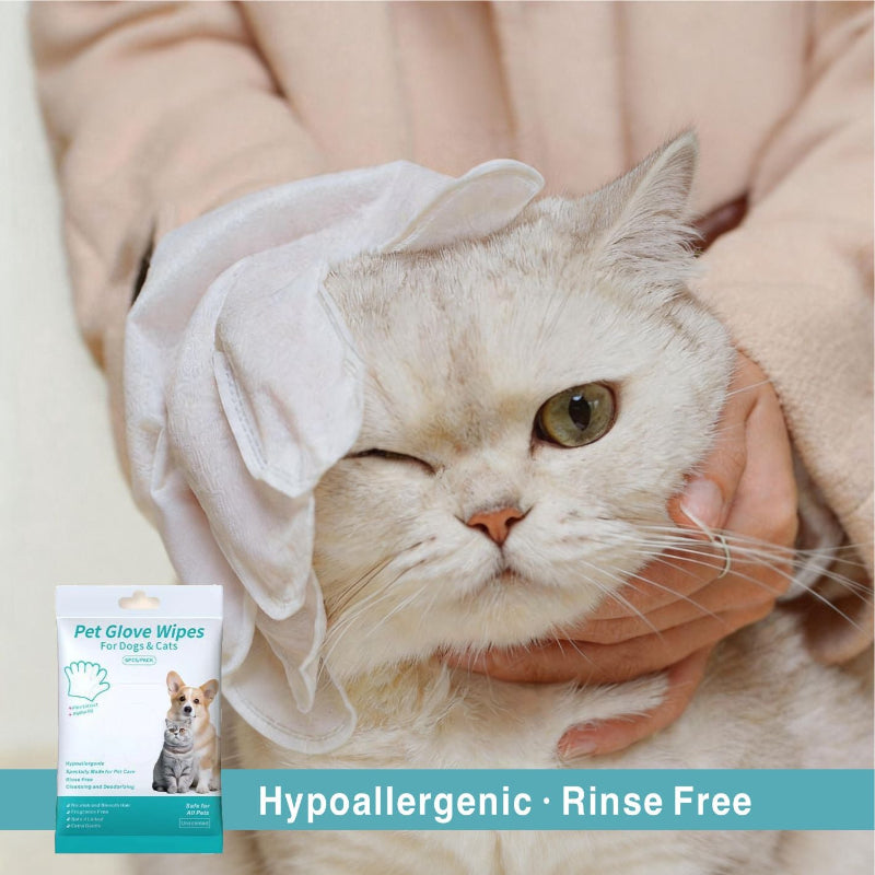 DOZEBEDDING®🧤Pet Wipe Gloves - Quick Clean, Non-Toxic, Mess-Free (upsell)