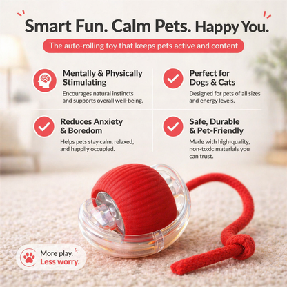 DOZEBEDDING®⚾Auto-Avoidance Smart Ball for Cats & Dogs🔋 – USB Rechargeable, Motion-Activated Interactive Toy